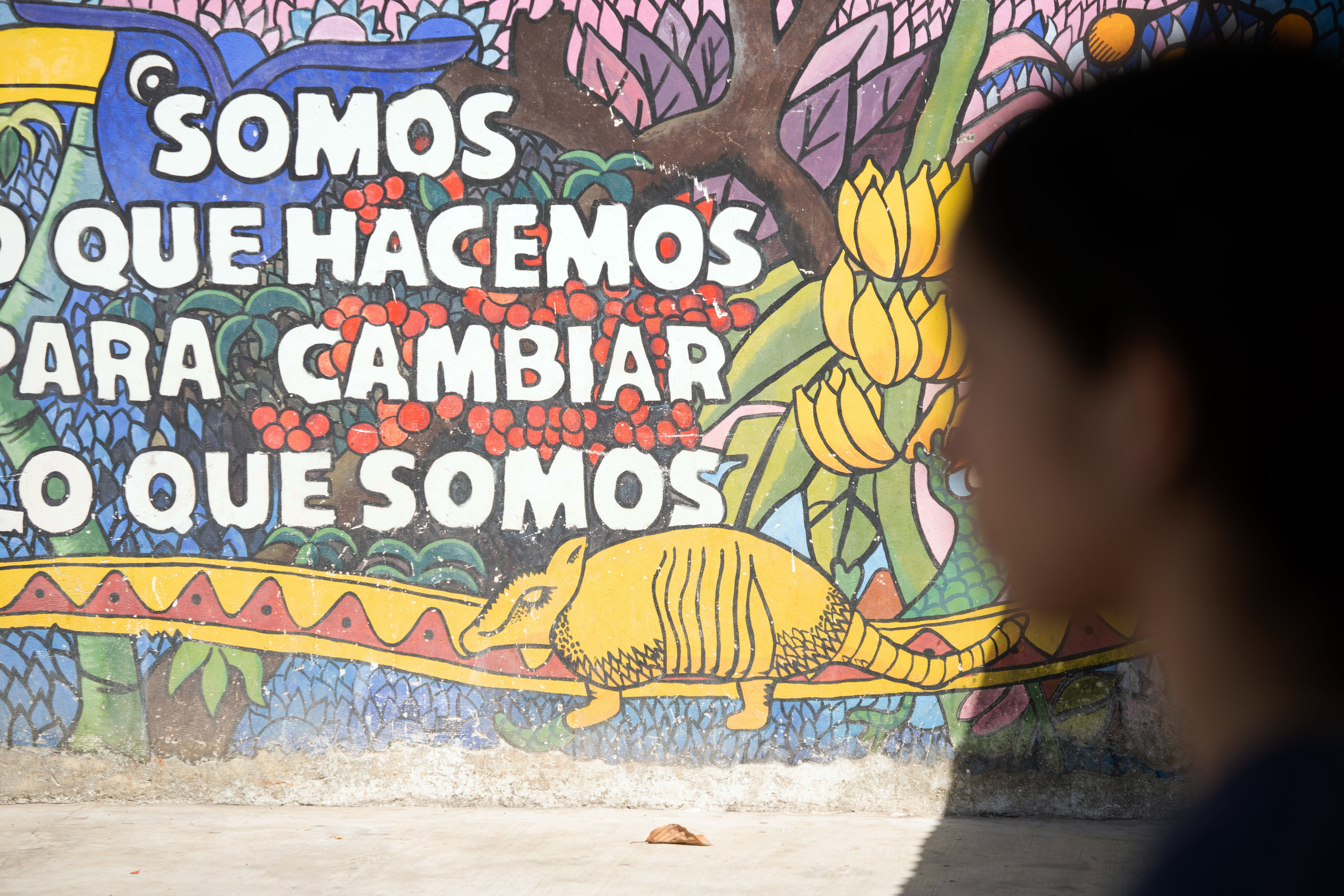 Plan International chiede ai governi di garantire i diritti di bambine, bambini e adolescenti nella «carovana dei migranti» Plan International chiede ai governi di garantire i diritti di bambine, bambini e adolescenti nella «carovana dei migranti»