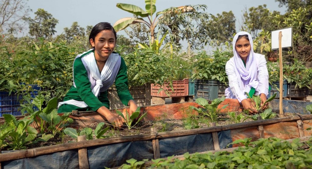 Il giardino sul tetto porta salute e felicità alle ragazze in Bangladesh