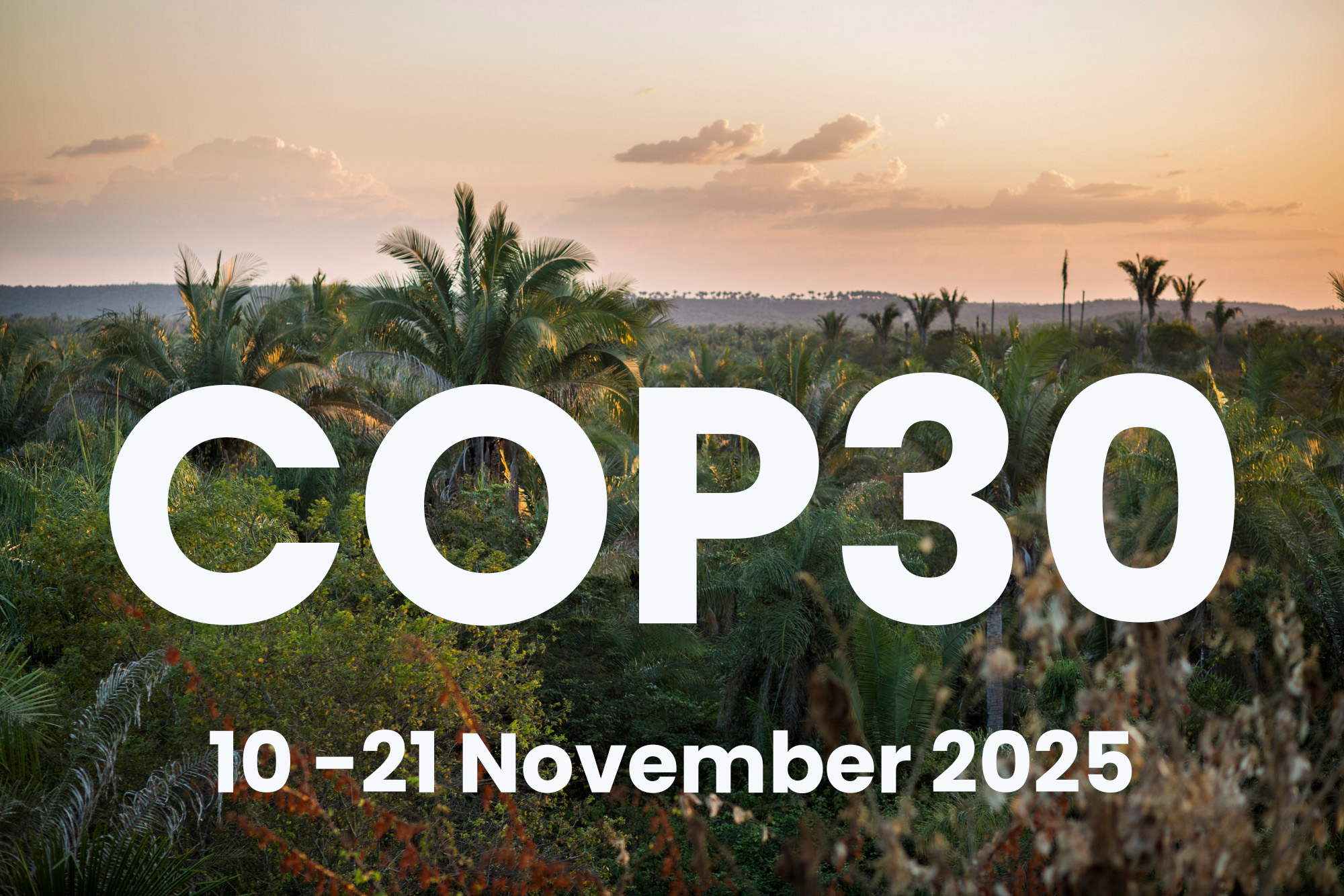 COP30: tra padiglioni allagati e sale in fiamme